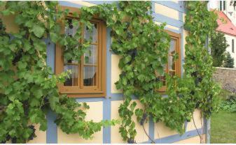 פרייטל In Der Alten Weinstube מראה חיצוני תמונה
